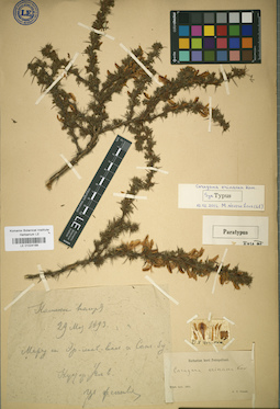 LE 01024188