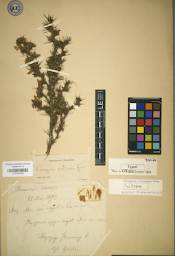 LE 01024189