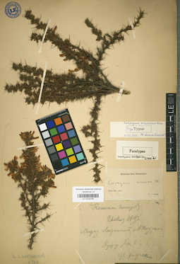 LE 01024190