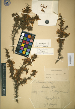 LE 01024191
