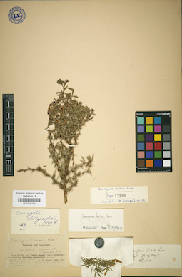 LE 01024193