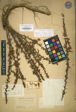 LE 01024194
