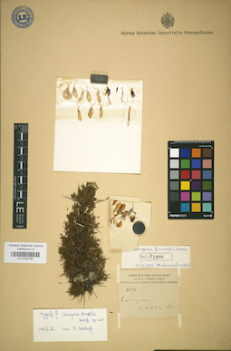 LE 01024195