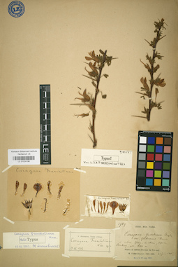 LE 01024196