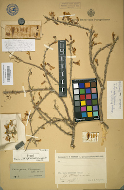 LE 01024198