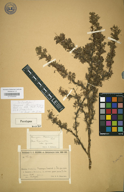LE 01024203