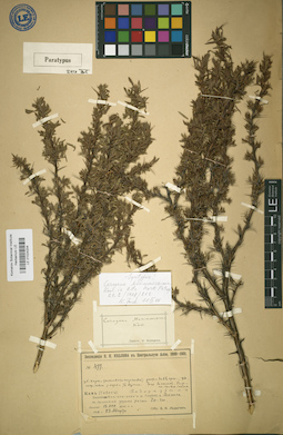LE 01024204