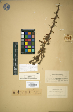 LE 01024205