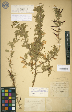 LE 01024220