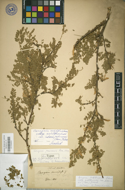LE 01024221