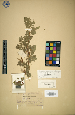 LE 01024223