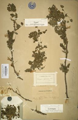 LE 01024226
