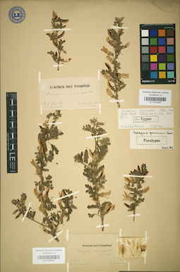 LE 01024227