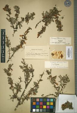 LE 01024228
