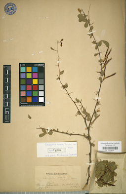LE 01024233