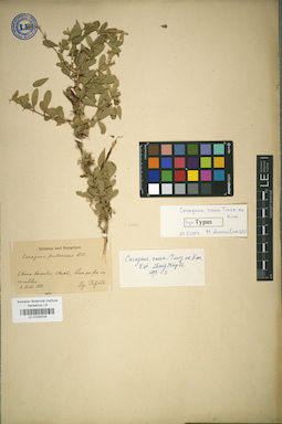 LE 01024234