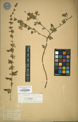 LE 01024235