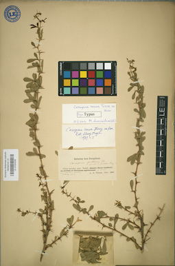 LE 01024236