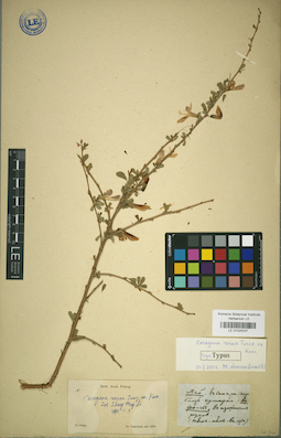 LE 01024237