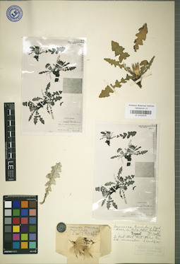 LE 01024274