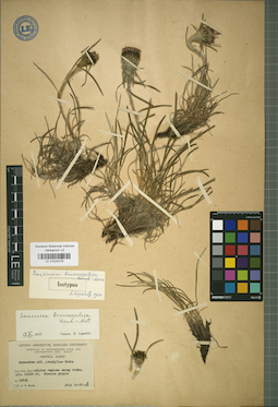 LE 01024276