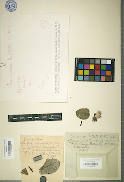 LE 01024278