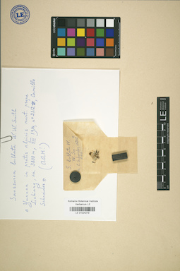 LE 01024279