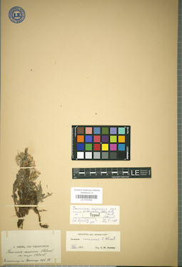 LE 01024280