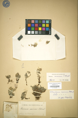 LE 01024281