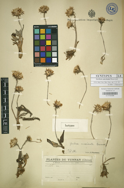 LE 01024286