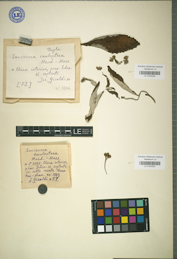 LE 01024291