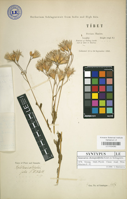 LE 01024292