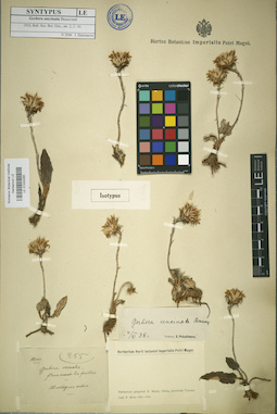 LE 01024295