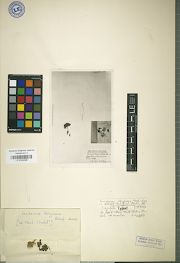 LE 01024296