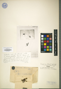 LE 01024301