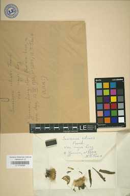 LE 01024303
