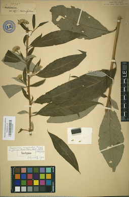 LE 01024308