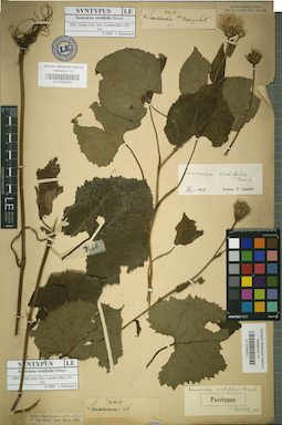 LE 01024310