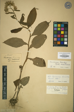 LE 01024317