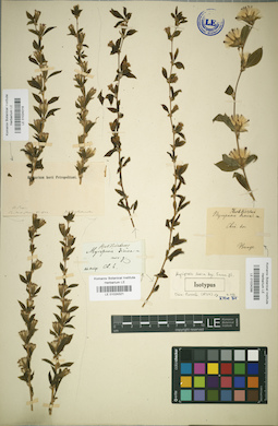 LE 01024321