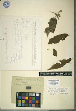 LE 01024326