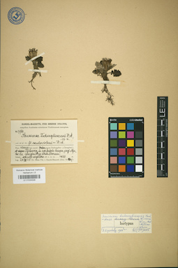 LE 01024329