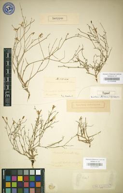 LE 01024337