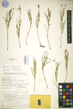 LE 01024341