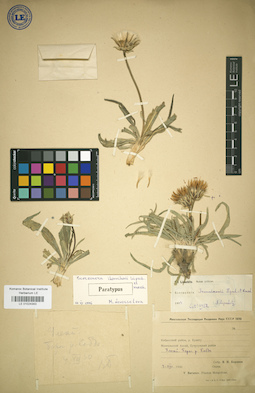 LE 01024343