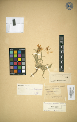 LE 01024352