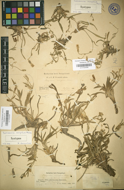 LE 01024358