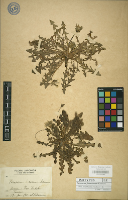 LE 01024363