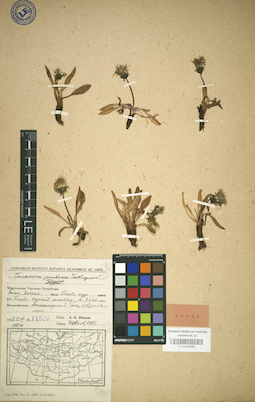 LE 01024364