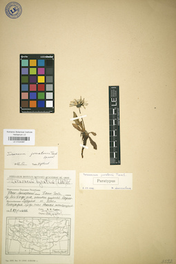 LE 01024367